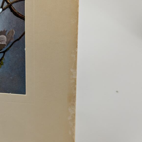 Foil Art Bird Lot Two (2) Signed F. Osborne Vintage B Parakeet Magnolias Floral2 - Picture 14 of 16